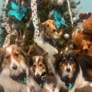 Platinum Paws - Pet Grooming