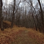 Plainsboro Preserve