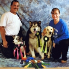 AgilityPaws Dog Training Center