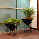 Interior Plantworks Inc - Plants-Interior Design & Maintenance