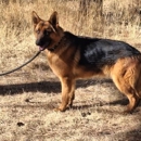 High Country German Shepherds - Pet Services