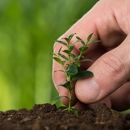 Cedar Knoll Tree Service - Tree Service