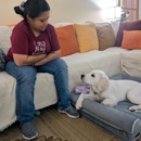 Dog Training Elite Greater Cincinnati - Pet Training