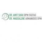 Amit Shah DPM