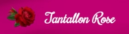 Tantallon Rose - Motels