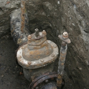 Gallery Image Number 4