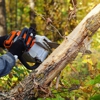 Howie's C & H Tree Service, Inc. gallery