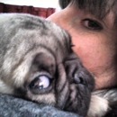 Paws Pet Care - Pet Stores