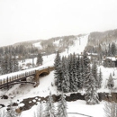 Charter Sports Ski, Snowboard & Bike Rentals - Lion Square Lodge at the Gondola - Vacation Homes Rentals & Sales