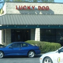Lucky Dog Grooming - Pet Services