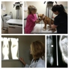 College Hills Veterinary Hospital gallery