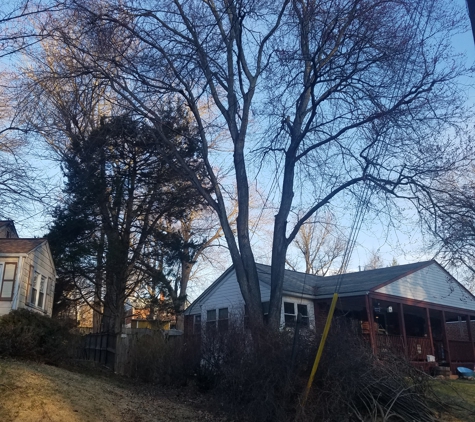Walt's Tree Experts - Silver Spring, MD