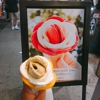 Amorino Gelato gallery