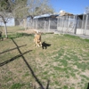 Chaparral Animal Spa gallery