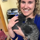 Manchester Veterinary Clinic - Veterinarians