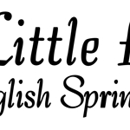 Little Flower Springers - Pet Breeders