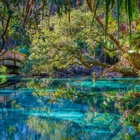 Staybridge Suites Ocala-Near Equestrian-Aquatics by IHG