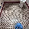 Elite Carpet Tile and Grout Cleaning gallery