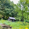 Sciota Village gallery