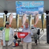 Reef Runner Charters gallery