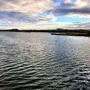 Bolsa Chica Ecological Reserve