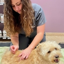 VCA Yorba Regional Animal Hospital - Veterinarians