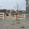 Top Rail Fence Denver gallery