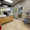 Petco Grooming gallery