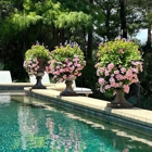 Good Natured Gardening