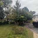 Tactical Timber Tippers Tree Service's - Tree Service