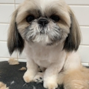 Dog's Secret - Pet Services