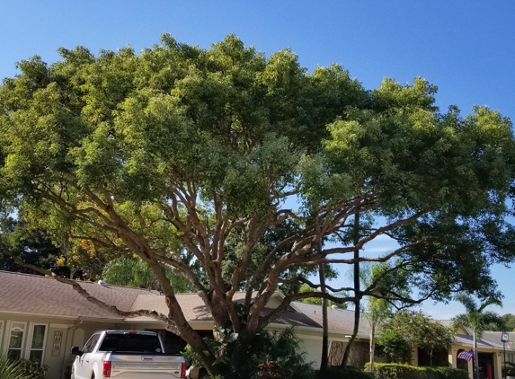 Bullie's Complete Tree Service & Landscape Design - Clearwater, FL