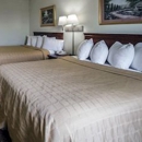 Quality Inn - Motels