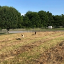 Kindred Spirits Dog Training - Pet Boarding & Kennels