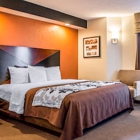 Sleep Inn near Busch Gardens - USF