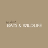 All About Bats and Wildlife gallery