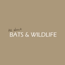 All About Bats and Wildlife - Animal Removal Services