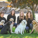 American Pacific Mortgage Tri Cities