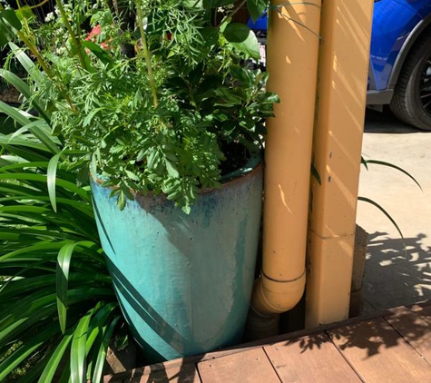 Pots & Ponds - Bungalow, QLD