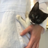 All Creatures Animal Hospital gallery