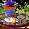 Five SeaSuns Bed and Breakfast gallery