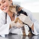 Broadway Robbinsdale Animal Hospital LTD - Pet Services