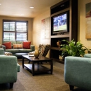 StaySky Suites I-Drive Orlando - Lodging