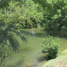 Arbors at Island Landing Hotel & Suites Pigeon Forge