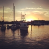 Key West Bight Marina gallery