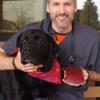 Waukesha Veterinary Service gallery