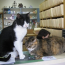 College Pet Clinic - Veterinarians