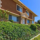 Marine View Apartments - Apartments