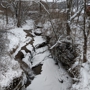 Conkles Hollow State Nature Preserve