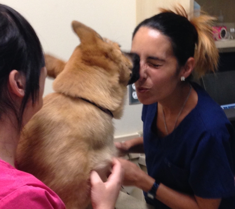 West Kendall Animal Hospital - Miami, FL. Puppy kisses are the best!
